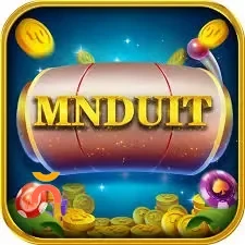 Logo mnduit